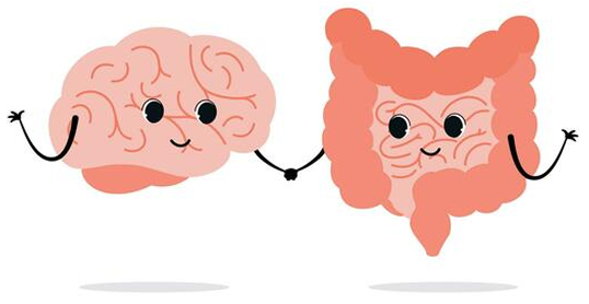 Could Your Gut Be Affecting Your Mood And Memory